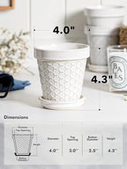 LE TAUCI Ceramic Succulent Pots, 4 Inch Small Plant Pot - Image 4