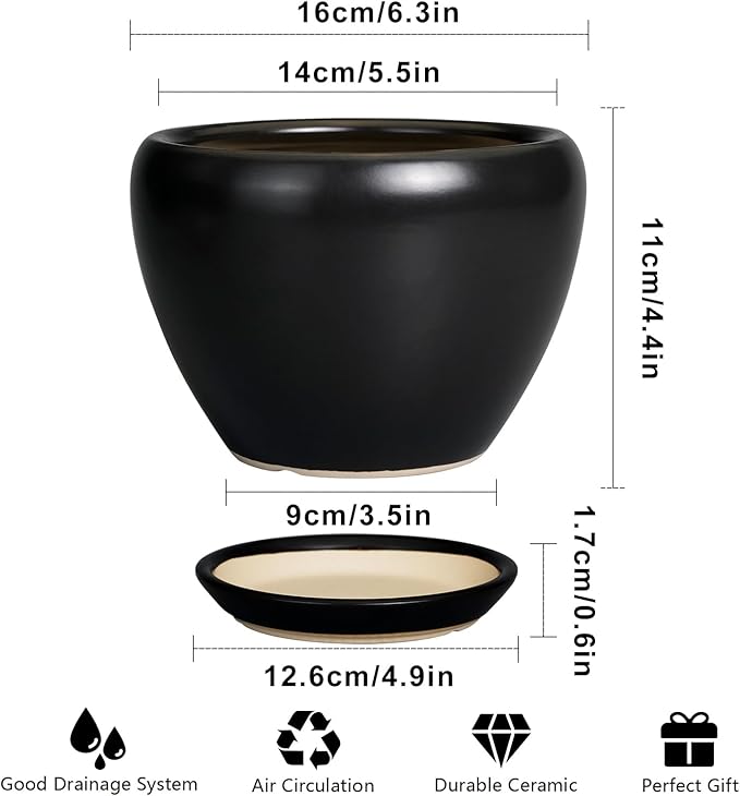 Ceramic Planter Pot - Image 3