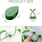 100 Pcs Plant Climbing Wall Fixture Clips Self-Adhesive Hook Vines Traction - Image 2