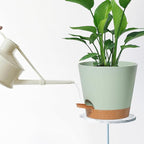 Self Watering Green Plastic Plant Pot Flower Planters - Image 7