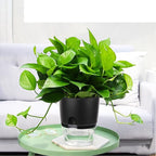 Vanavazon 6 Inch Self Watering Planter Pots - Image 3