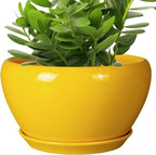 Indoor Planter 11 Inch by Ceramicfor