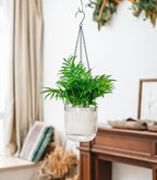 Josteve 5.2 Inch 2 Pcs Self Watering Hanging Planter Indoor Plant Pots Drainage - Image 4