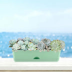 6 Pack Rectangle Planter 16x4.4 Inch Window Boxes Planters Rectangular Large - Image 7