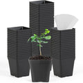 June Fox Square Nursery Pots 3.3 Inches Flexible Plastic Seedling Pots Square by June+Fox