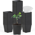 June Fox Square Nursery Pots 3.3 Inches Flexible Plastic Seedling Pots Square by June+Fox