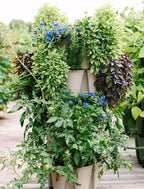 Greenstalk Patented Large 5 Tier Vertical Garden Planter - Image 3