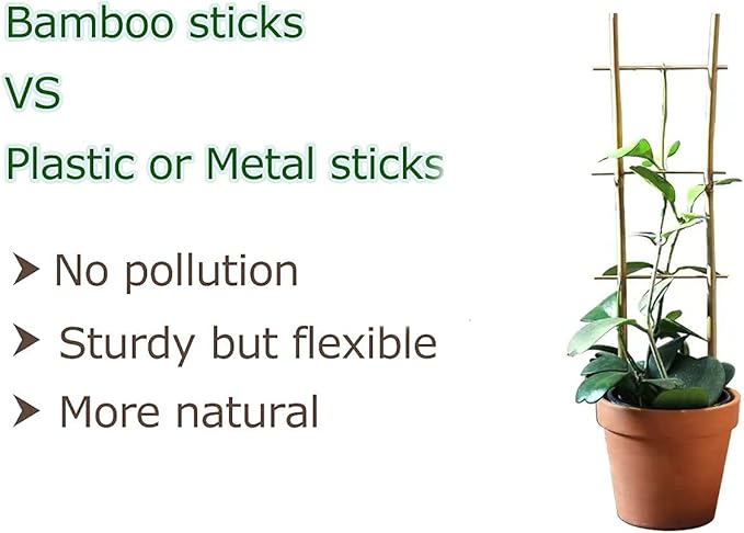 Bamboo Trellis, 16in Ladder-Shaped Trellis - Image 4