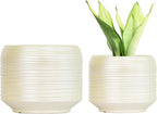 8 Inch + 6 Inch Ceramic Plant Pots Indoor by Bestseler