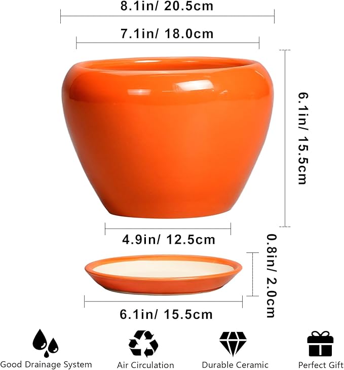Indoor Plant Pot 8 Inch - Image 3