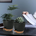 Self Watering Planters with Drainage Holes Reservoir, Nursery Planting Pot - Image 6