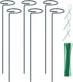 6PCS Single Stem Plant Support Stakes, 16 Inch Monstera Plant Support by Numyew
