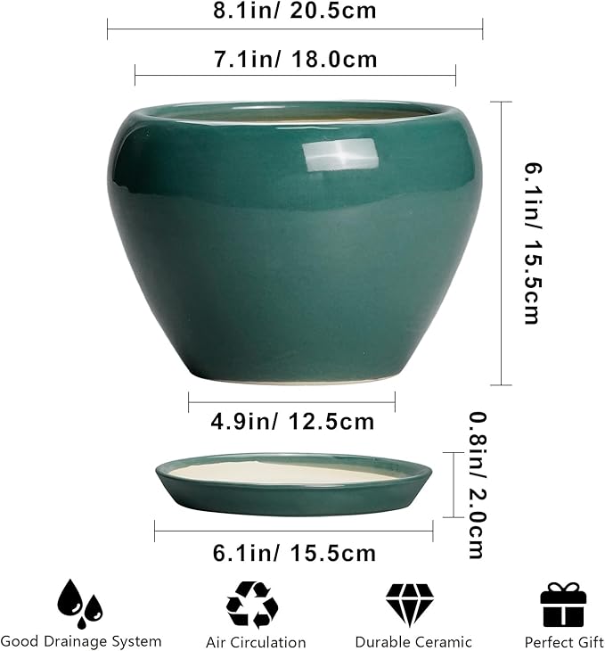 8 Inch Plant Pot - Image 3