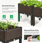 CloudDream 3Piece Brown Raised Garden Box Set, Flowers & Succulents. - Image 2
