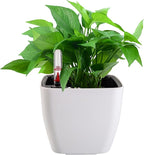 yarlung 6 Pack Self Watering Planter - Image 6