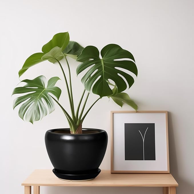 Ceramic Planter Pot - Image 7