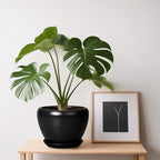 Ceramic Planter Pot - Image 7