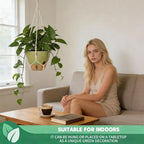 Self-Watering Hanging Planters for Indoor Plants Set 2-Piece Includes Plant - Image 6