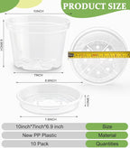 10 Pack 10 Inch Clear Nursery Pots - Image 2