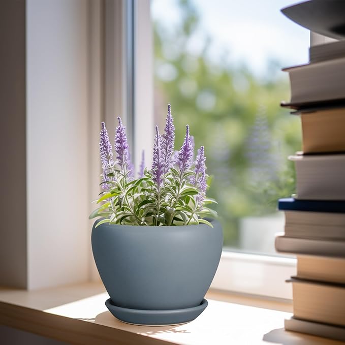 Ceramic Pot for Plants - Image 2