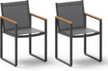Outdoor Dining Chairs Set of 2, Aluminum Patio Dining Chiars by Oasbira
