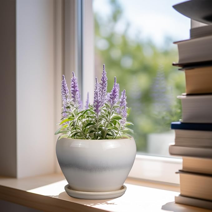 Planter Pot 6 Inch - Image 2