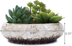 VanEnjoy 7.3 inch Round Large Shallow Succulent Ceramic Glazed Planter Pots - Image 2