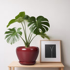 Ceramic Pot for Plants - Image 8