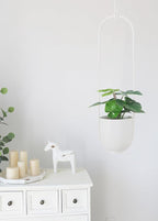 Boho Hanging Planter for Indoor Outdoor Plants Modern Wall and Ceiling Hanging - Image 3