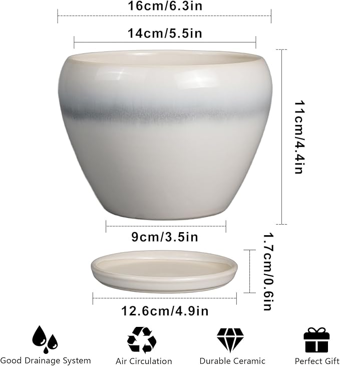 Planter Pot 6 Inch - Image 3
