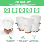 Self Watering Planter with Visual Water Level, Modern 8+7+6.5+6+5.5+5 Inch - Image 5