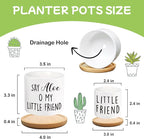 Say Aloe to My Little Friend Planter Pot, Funny Plant Pots, Aloe Plant Pot - Image 2