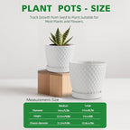 Docrin Ceramic Plant Pots Set of 2, High-Fired Clay Indoor Planters - Image 4