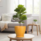Ceramic Plant Pot - Image 4
