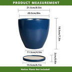 Ceramic Plant Pot - Image 3