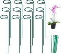 FEED GARDEN 16 Inch 12 Pack Plant Support Stakes, Metal Garden Flower Stakes by FEEDGARDEN