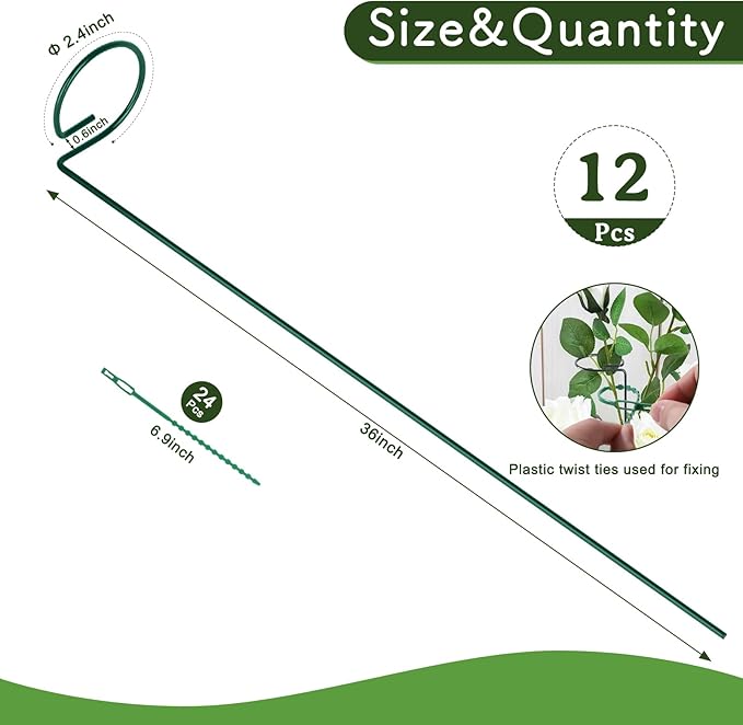 FEED GARDEN 36 Inch 12 Pack Plant Support Stakes, Metal Garden Flower Stakes - Image 2