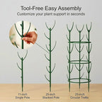 10-Pack Monstera Plant Support Stakes - Image 6