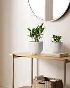 LE TAUCI Ceramic Plant Pots, 5.1 + 6.4 Inch Footed Pots - Image 3