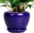 6 Inch Plant Pot by Ceramicfor