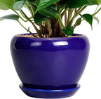 6 Inch Plant Pot by Ceramicfor