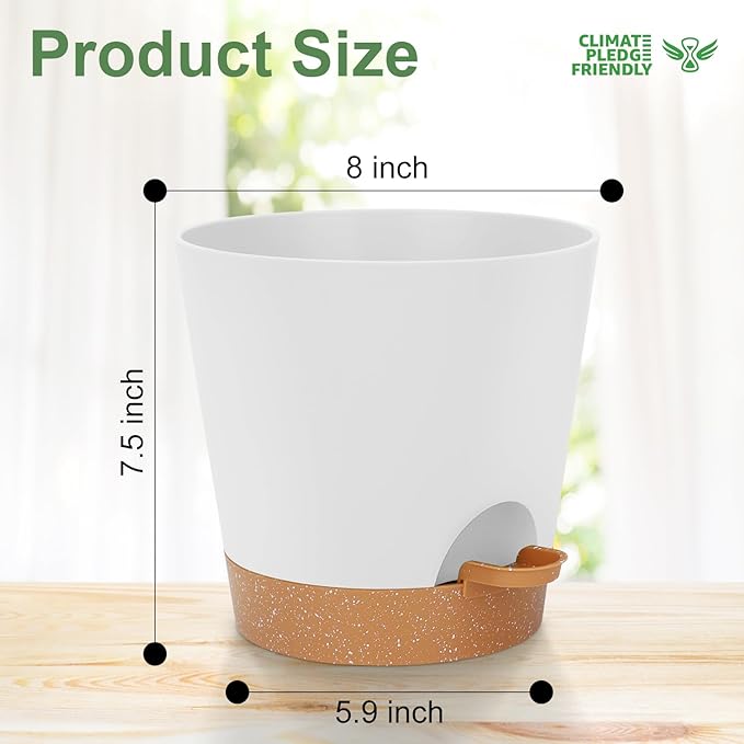8-Inch Plant Pots, Self-Watering Planters - Image 4