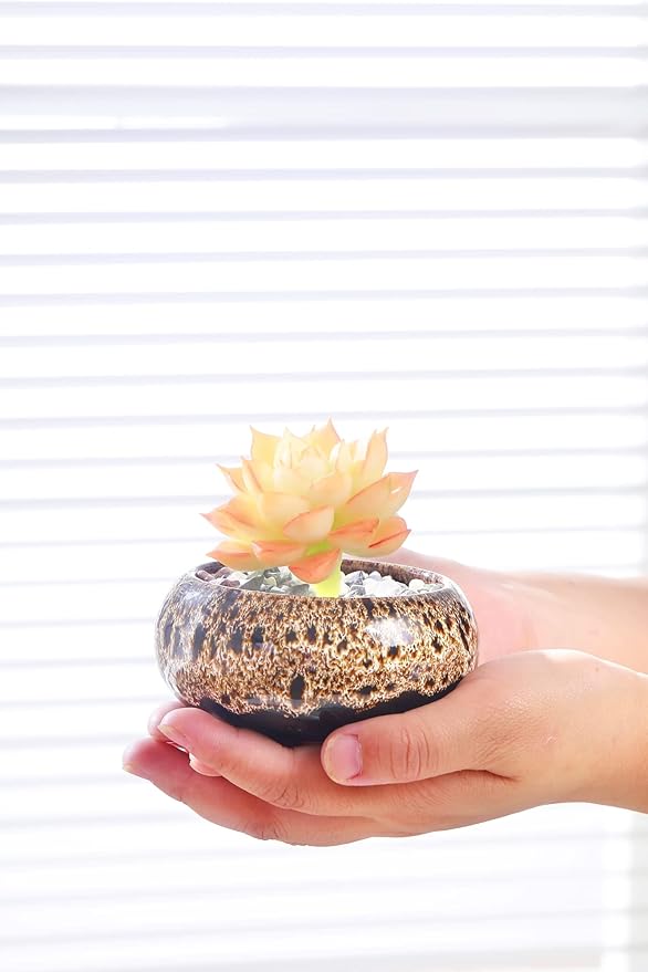 Cute Ceramic Succulent Garden Pots, Planter - Image 4