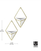Umbra Trigg Hanging Planter Vase Wall Decor, Faux Plants, and More - Image 3