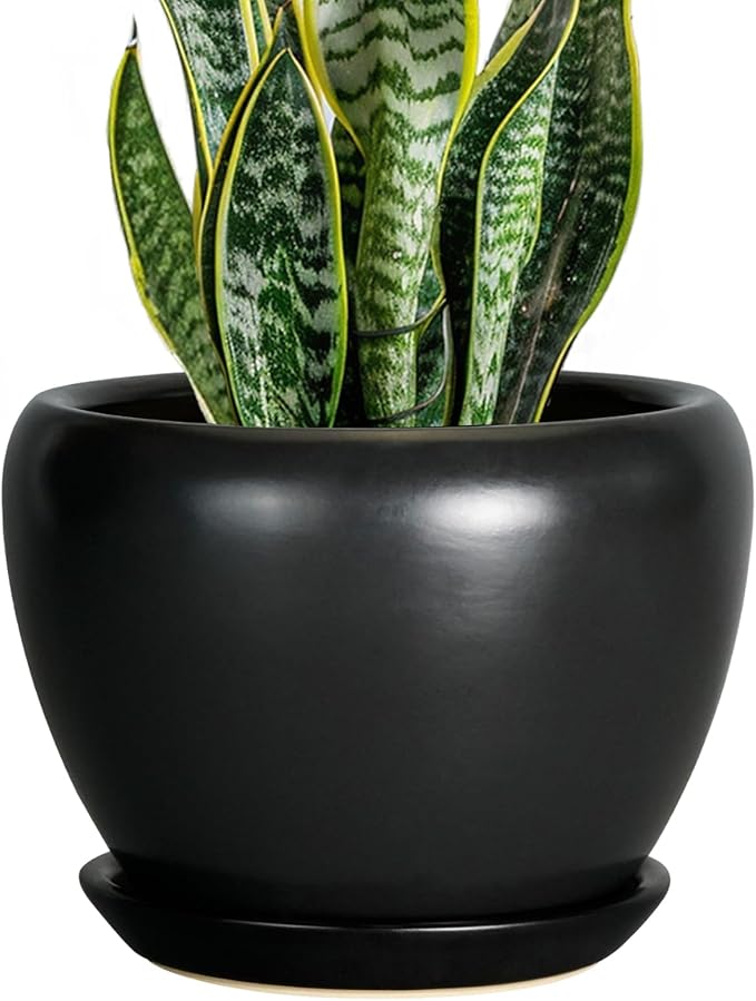 Ceramic Planter Pot by Ceramicfor
