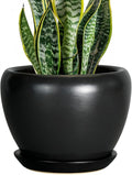 Ceramic Planter Pot by Ceramicfor