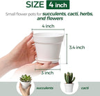 T4U 4 Inch Plant Pots 8-Pack, Small Flower Pots - Image 2