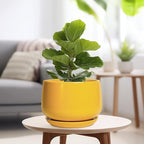 G EPGardening Ceramic Flower Pot - Image 4