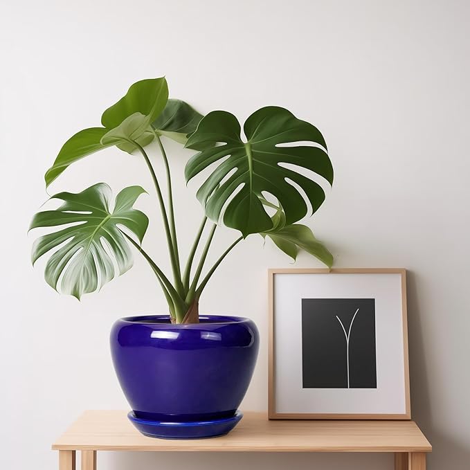 6 Inch Plant Pot - Image 8