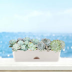 6 Pack Rectangle Planter 16x4.4 Inch Window Boxes Planters Rectangular Large - Image 7